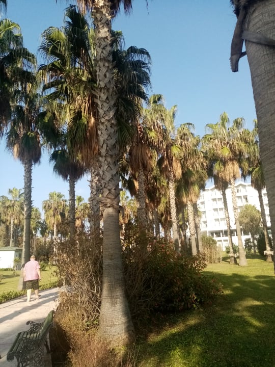 Außenansicht Royal Atlantis Beach Hotel