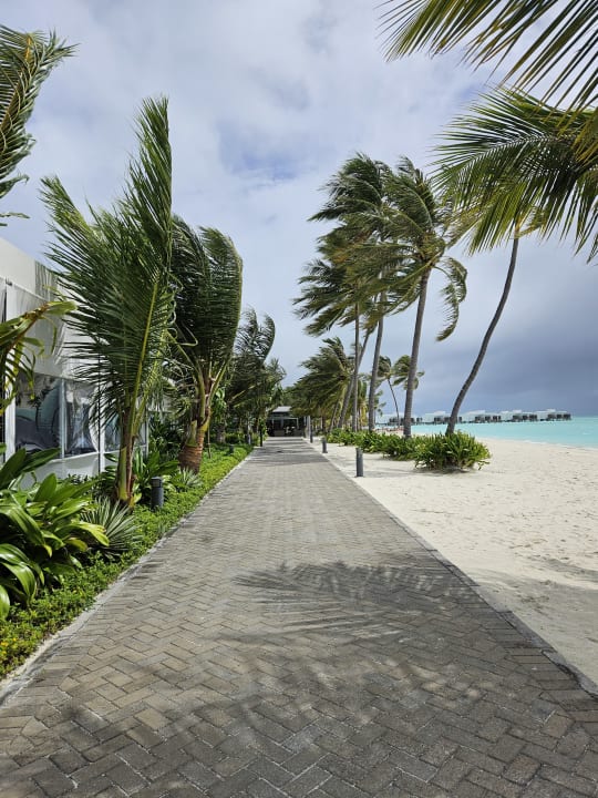 Gastro Hotel Riu Atoll