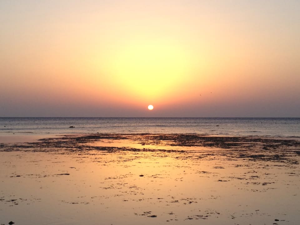 Strand Makadi Spa - Adults only