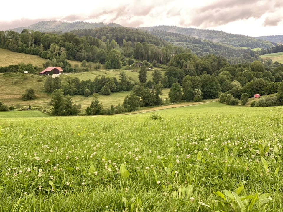 Gartenanlage Frongahof Eckerl Böhmzwiesel