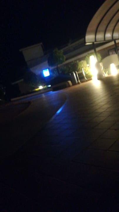 Sonstiges blau punta reina