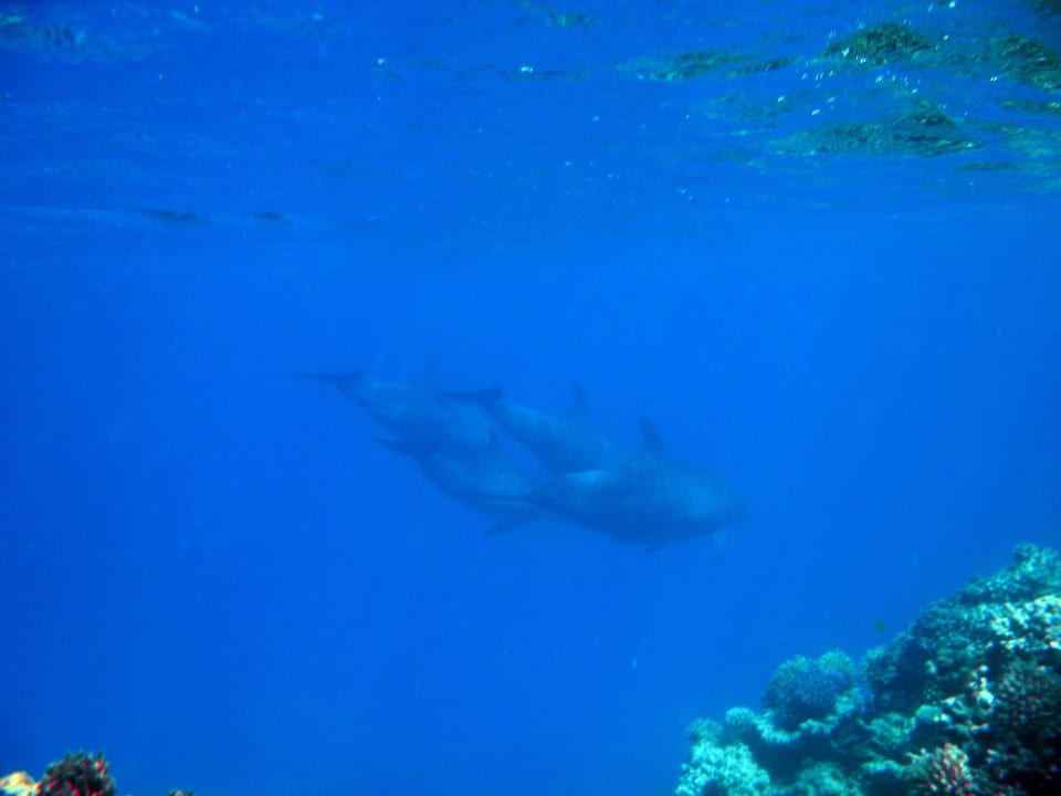 31 Stella Beach Resort & Spa Makadi Bay