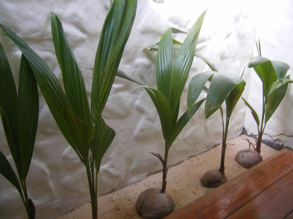 Bad in der Beach Villa Hotel Thapwarin Resort