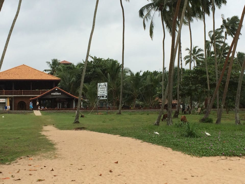 Weg zum Strand Wunderbar Beach Club Hotel