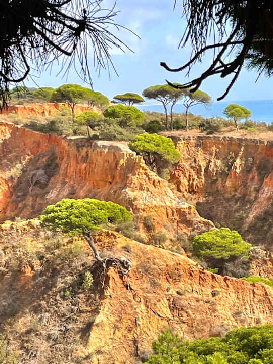 Strand PortoBay Falésia
