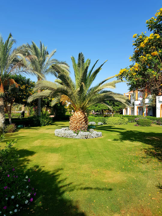 Gartenanlage Fantazia Resort Marsa Alam