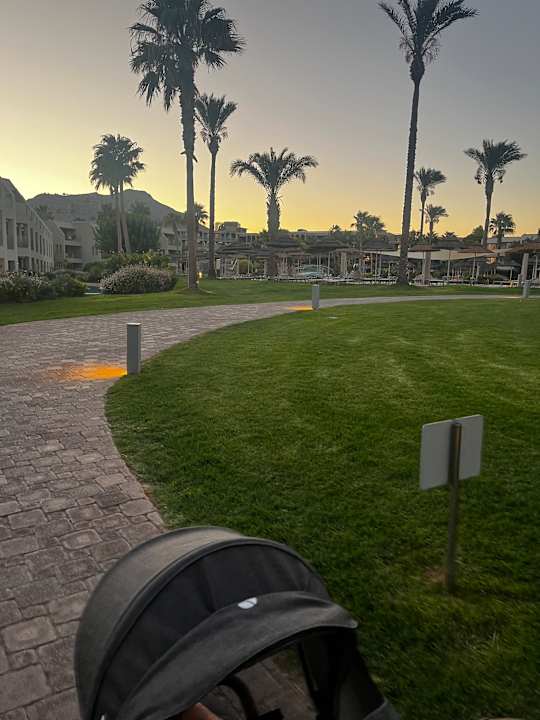 Gartenanlage Atlantica Aegean Blue