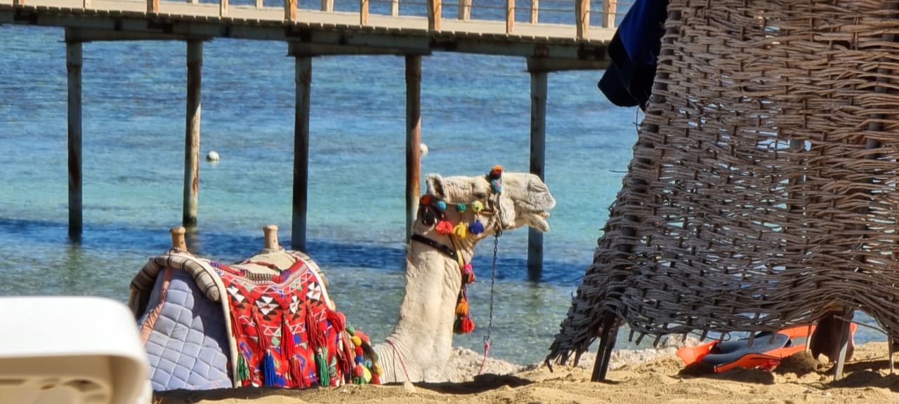 Strand Lazuli Hotel Marsa Alam