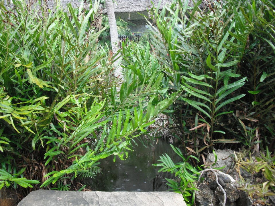 Garten Bahari Beach Hotel