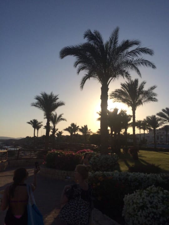 Anlage Hotel Continental Garden Reef Resort