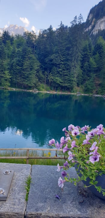 Ausblick Hotel & Restaurant Blausee