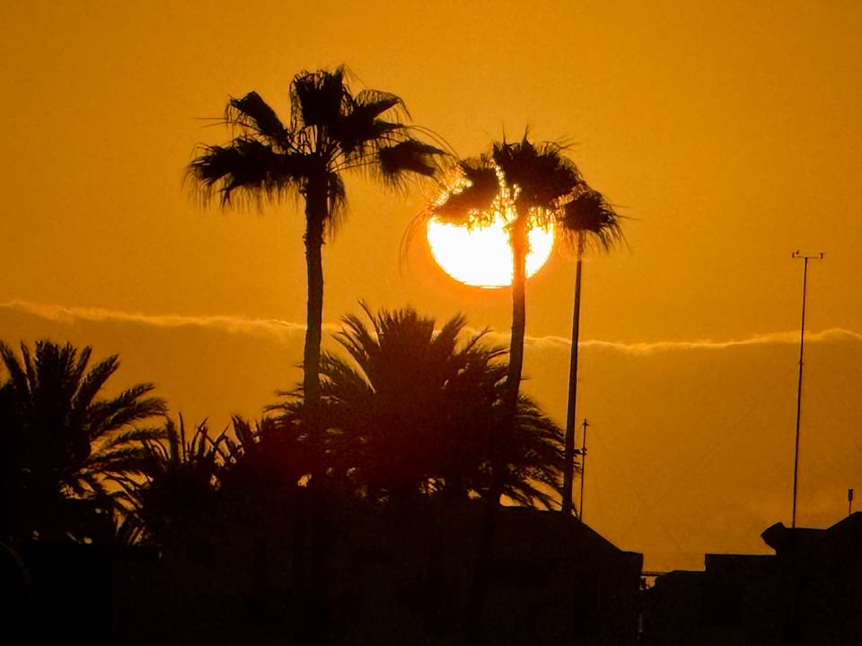 Gartenanlage Hotel Riu Gran Canaria