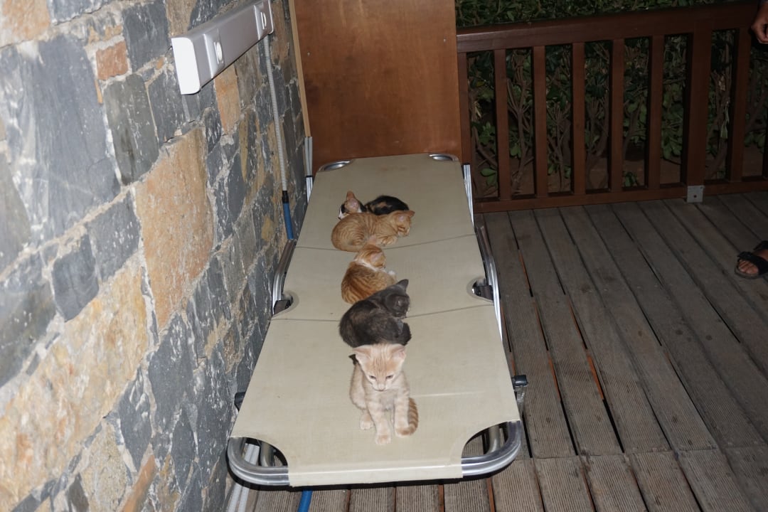 Gartenanlage Creta Maris Resort