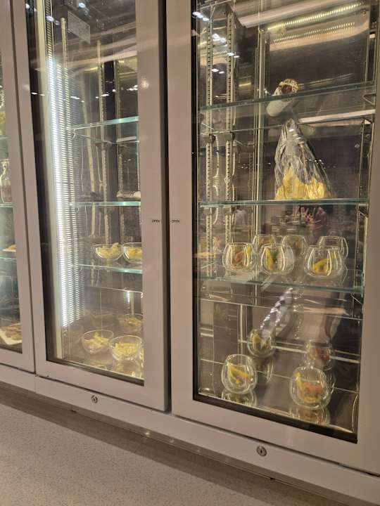 Gastro Arabian Court at One&Only Royal Mirage