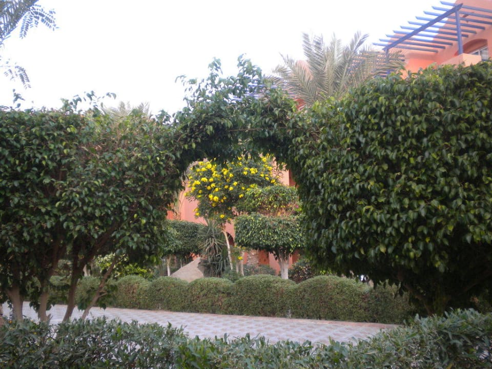 Gartenanlage Jaz Makadi Oasis Resort