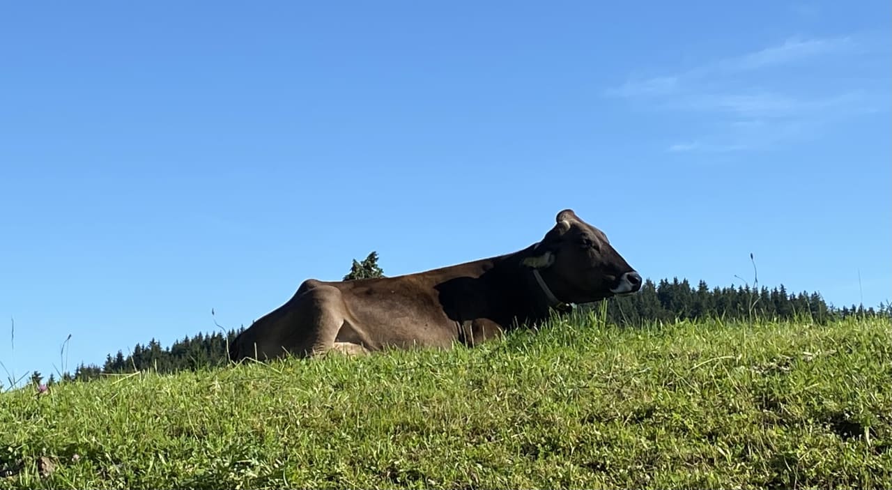 Ausblick Greinwaldhof Ferienwohnungen