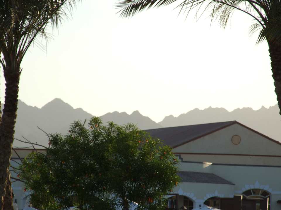 Widok z hotelu Regency Plaza Aqua Park & Spa