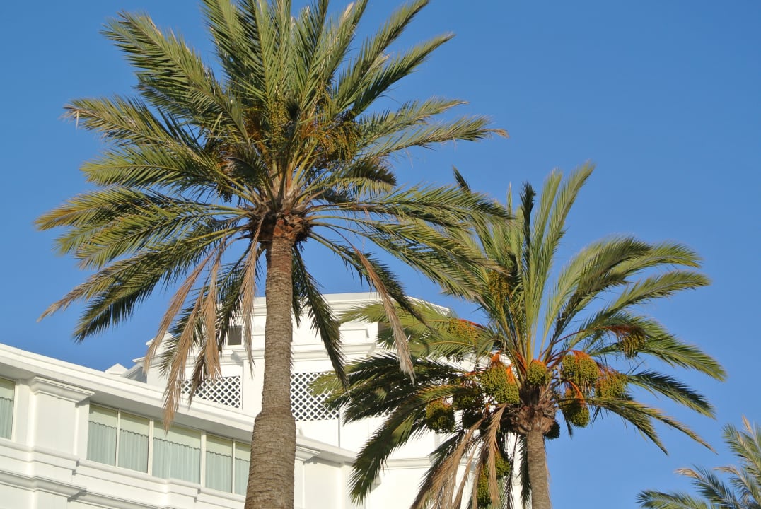 Ausblick Hotel Riu Palace Maspalomas Adults Only