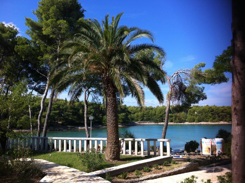 Ausblick vom Zimmer - WOW Aminess Vival Casa Velaris