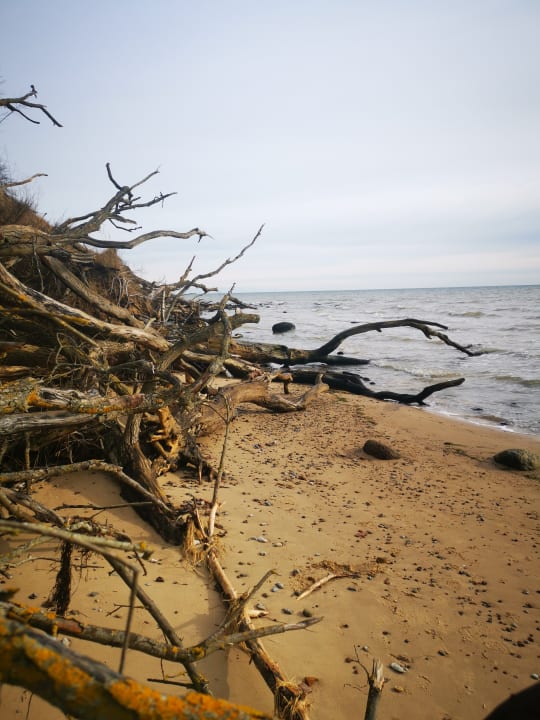 Strand Santé Royale Rügen Resort