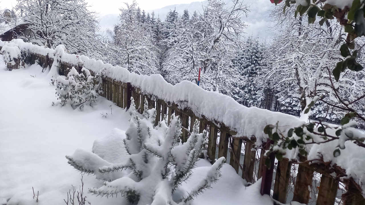 Außenansicht Ferienhaus Waldhof