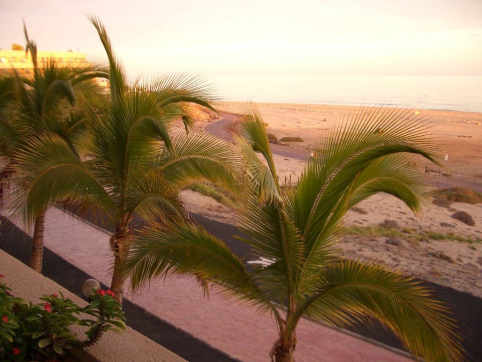 Balkonausblick Iberostar Selection Fuerteventura Palace