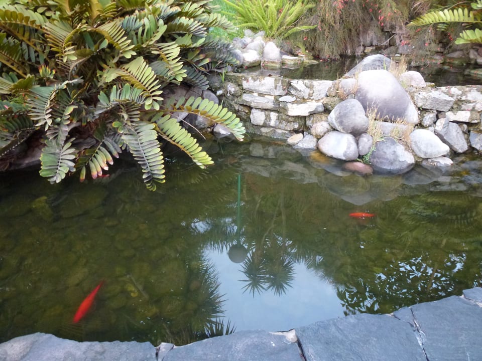 Hier gibt es die kostenlose Knabberkur allsun Hotel Lucana