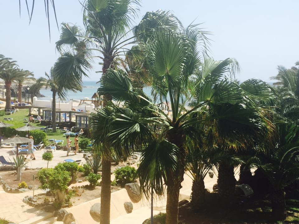 Ausblick SBH Fuerteventura Playa