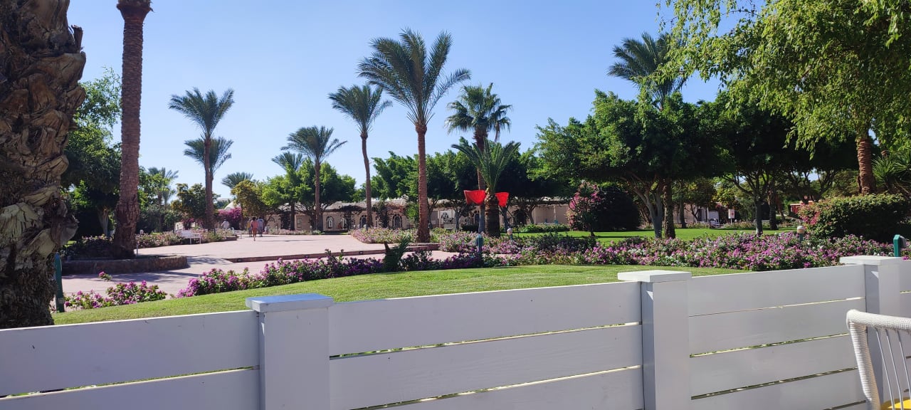 Gartenanlage Desert Rose