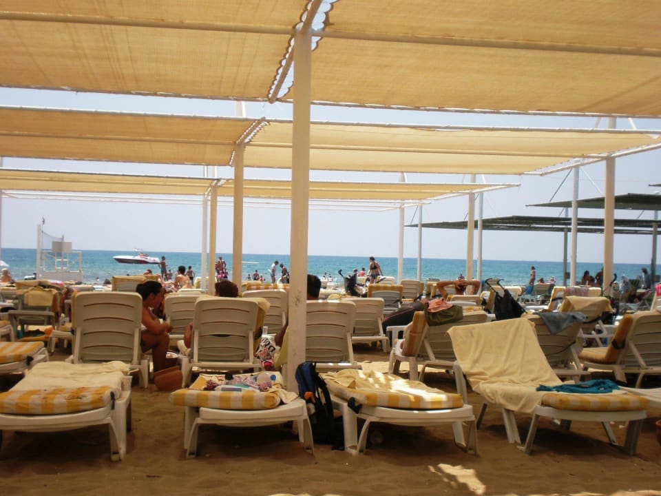 Blick von der Liege auf den Strand Dream Family Club