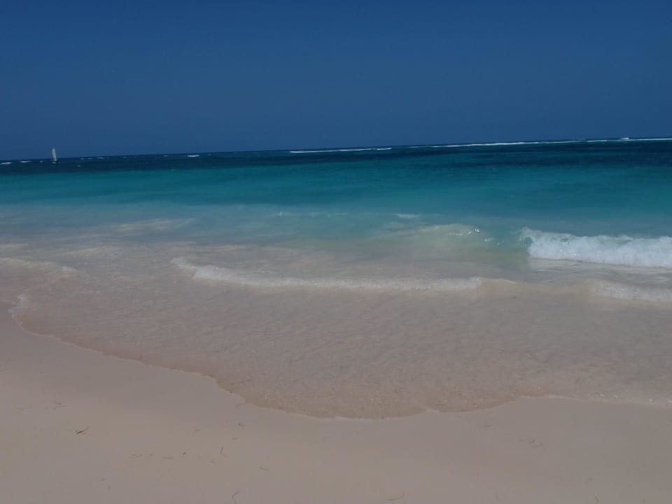 Diese Aussicht Punta Cana Princess All Suites Resort & Spa