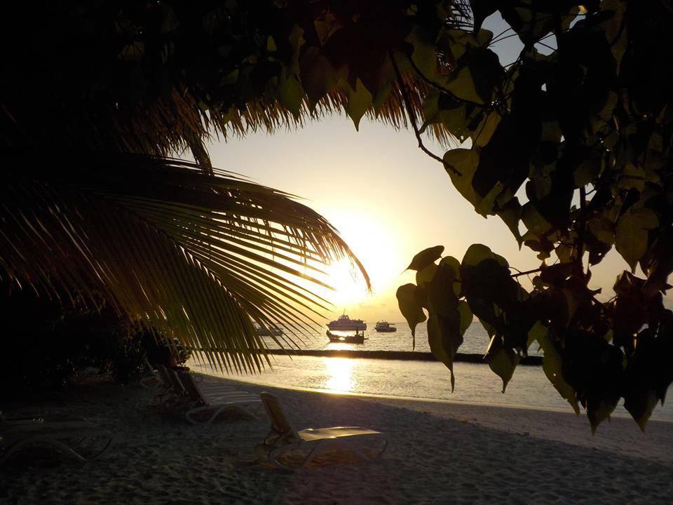 Vom Zimmer SunSet Kuramathi Maldives