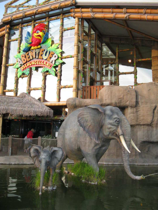 Dschungelland Ferienwohnungen Ferienpark Weissenhäuser Strand