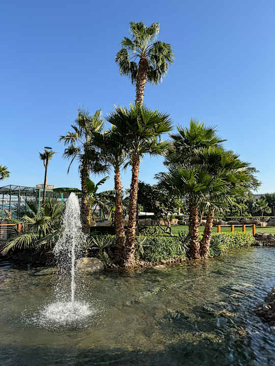 Gartenanlage Grand Hyatt Dubai