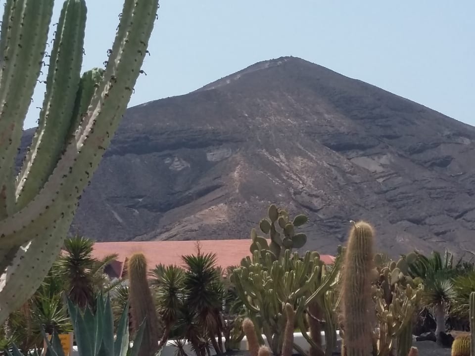 Ausblick Club Jandia Princess