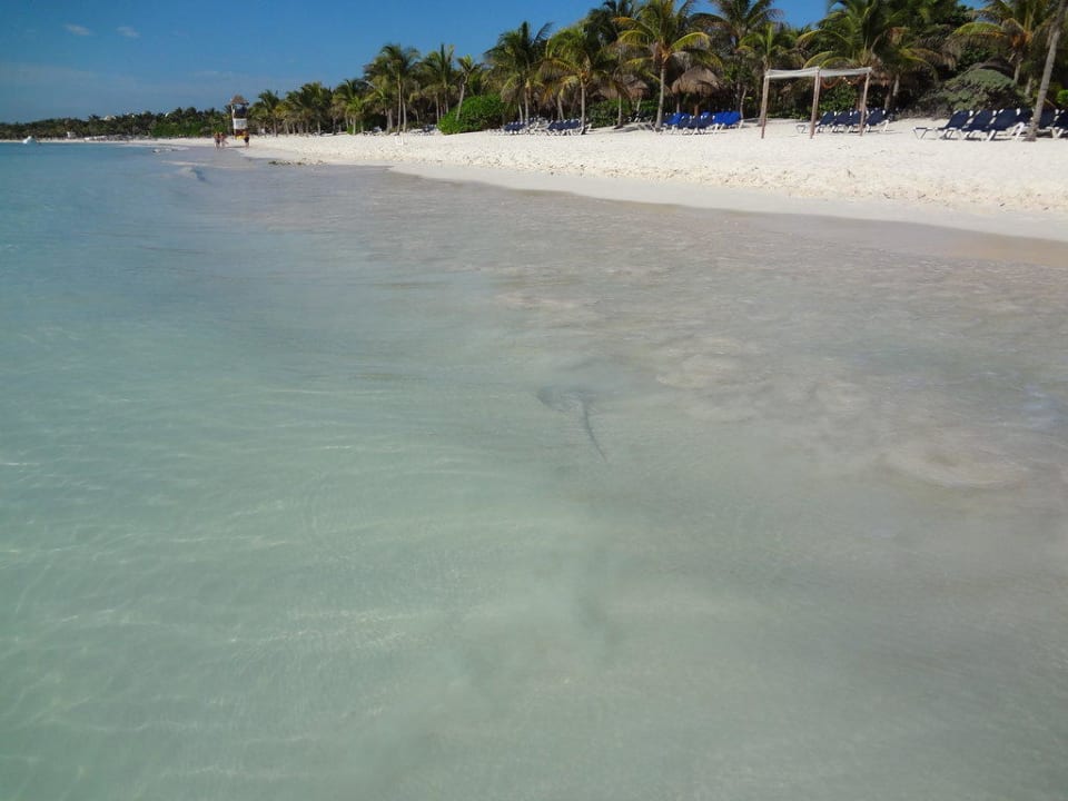 Strand  Grand Palladium Colonial Resort & Spa