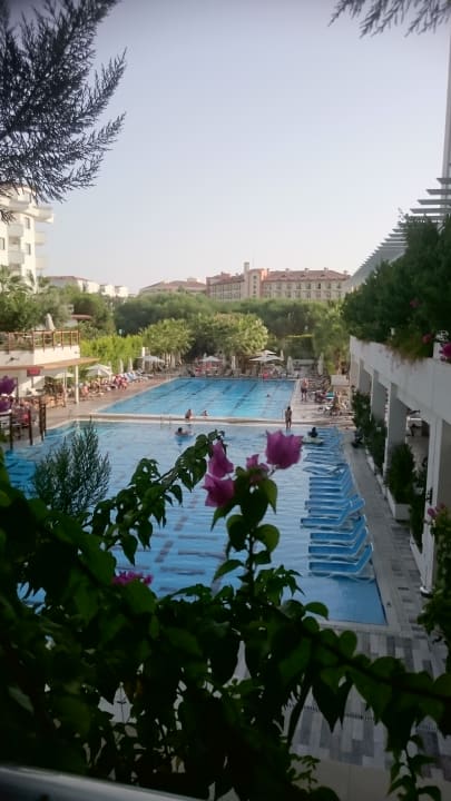 Pool Castival Hotel