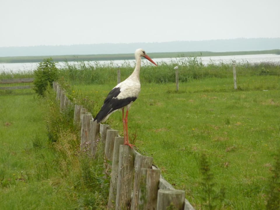 Blick vom Zimmer Hotel Rezydencja nad Jeziorem Lebsko