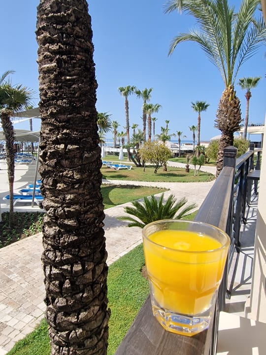 Gastro TUI BLUE Palm Garden