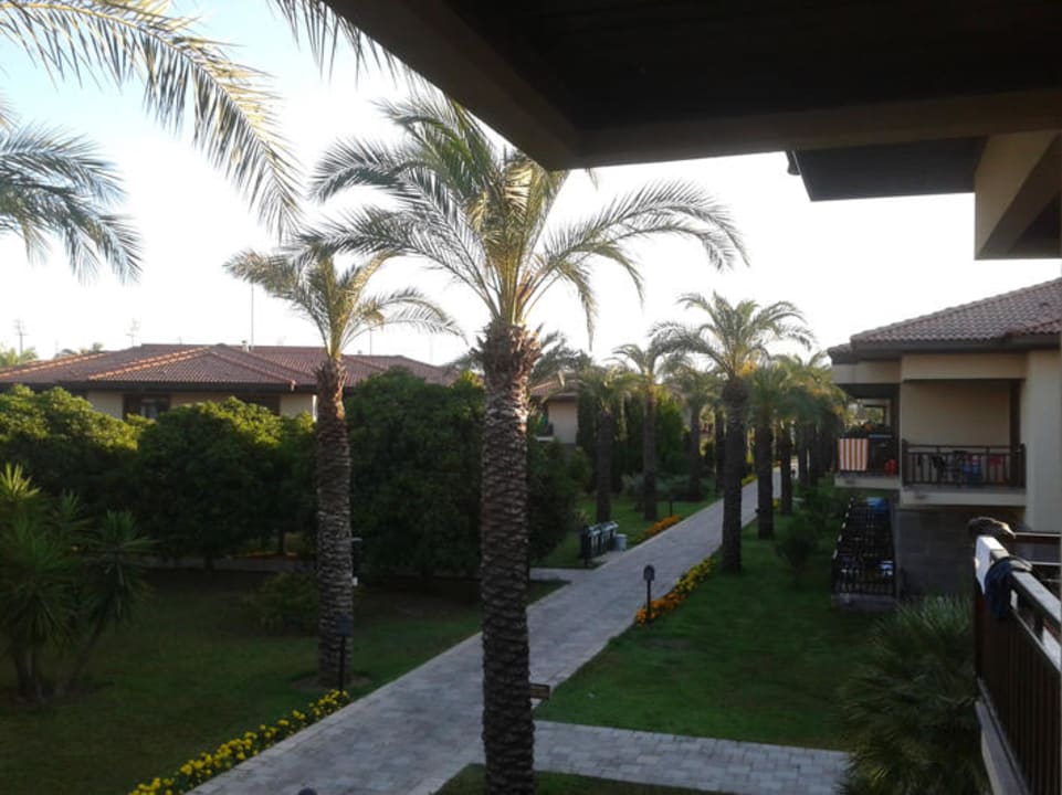 Widok z balkonu TUI BLUE Palm Garden