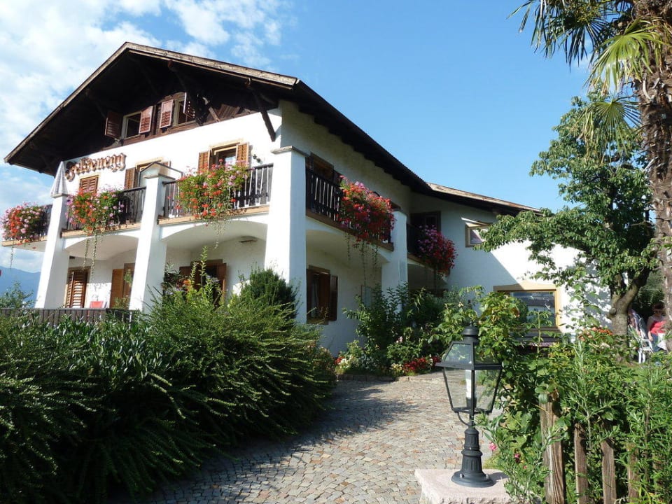 Pension Felsenegg Pension Felsenegg