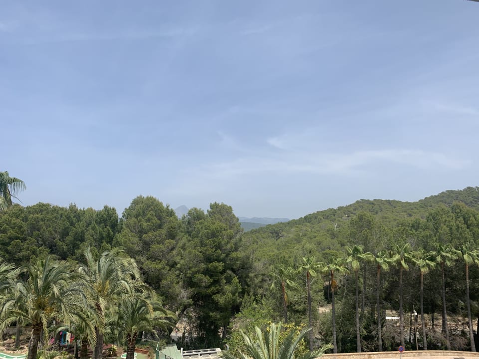 Ausblick allsun Hotel Bella Paguera