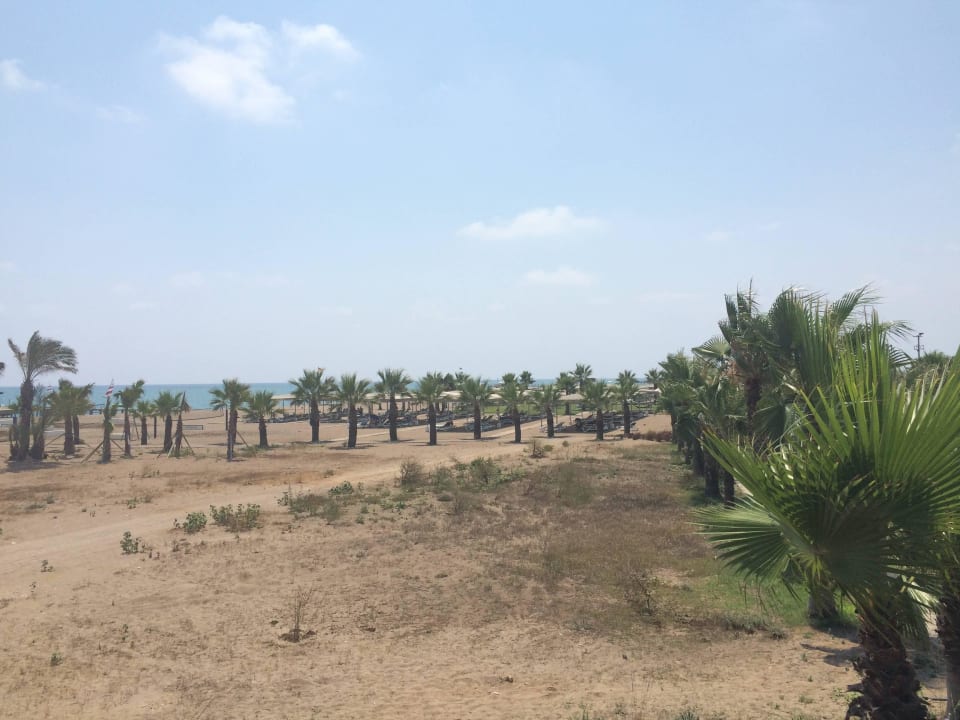 Ausblick Chillout Hügel ROBINSON NOBILIS