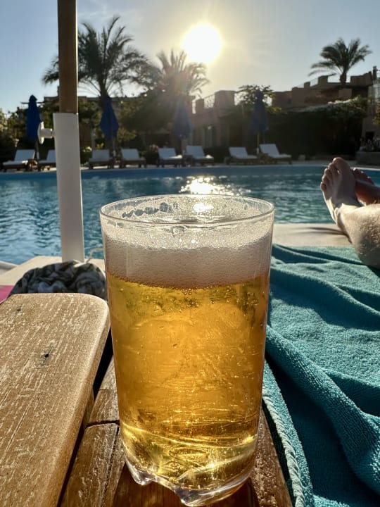 Gastro Shams Prestige Abu Soma-Adults Only