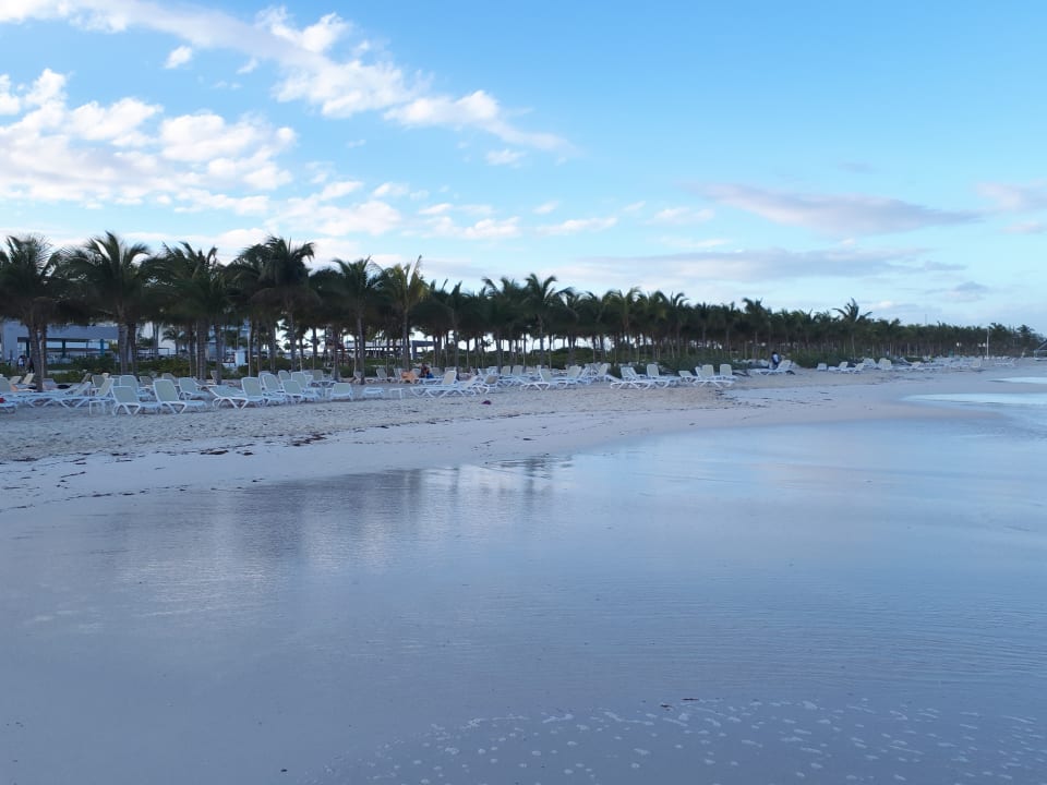 Strand Hotel Riu Dunamar