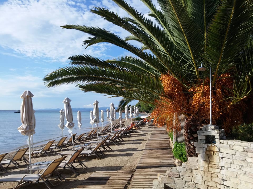 Schöner Strand Anthemus Sea Beach Hotel & Spa