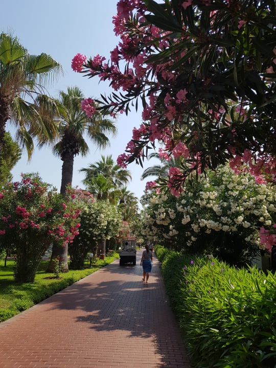 Gartenanlage Ali Bey Club