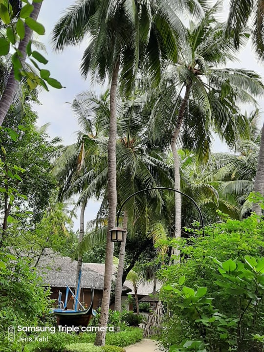 Gartenanlage NH Collection Maldives Reethi Resort
