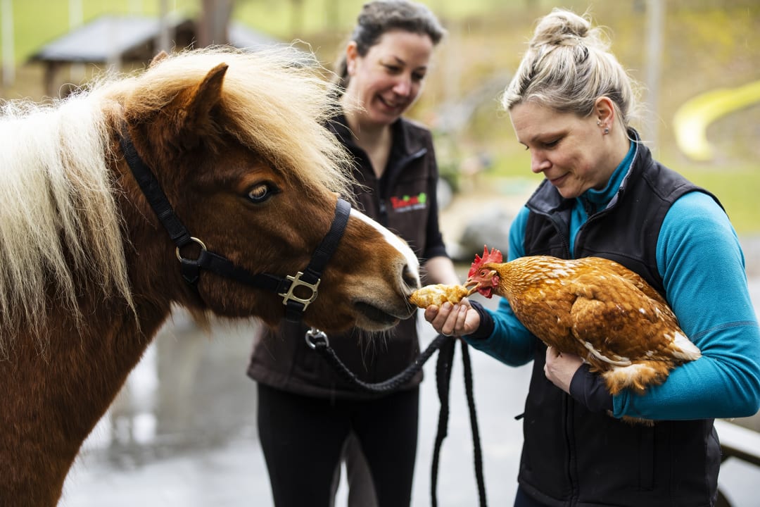 Sport & Freizeit Familienhotel Ebbinghof