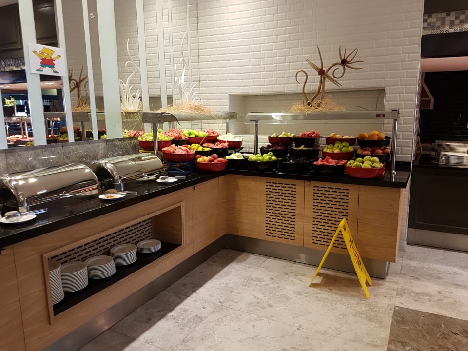 Gastro Seashell Vega